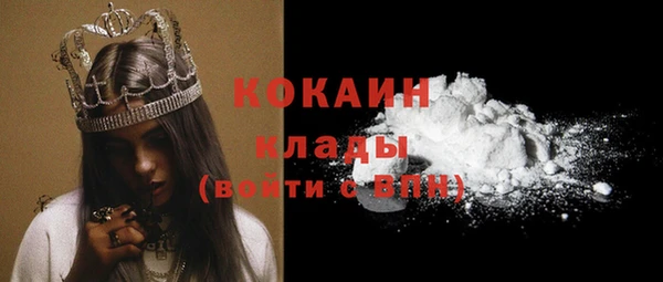 шишки Абаза