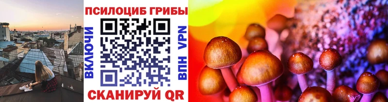 Псилоцибиновые грибы Magic Shrooms  omg ТОР  Тотьма 